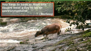 You have to have at least one
square meal a day to be an
environmentalist
(Borlaug)
 