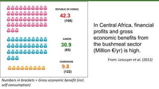 REPUBLIC OF CONGO
GABON
CAMEROON
42.3
(108)
30.9
(85)
9.8
(122)
In Central Africa, financial
profits and gross
economic benefits from
the bushmeat sector
(Million €/yr) is high.
Numbers in brackets = Gross economic benefit (incl.
self-consumption)
From: Lescuyer et al. (2012)
 