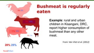 5% 6%
2% 10%
11% 15%
5% 11%
20%/25%
From: Van Vliet et al. (2012)
Bushmeat is regularly
eaten
Example: rural and urban
children in Kisangani, DRC,
report higher consumption of
bushmeat than any other
meat.
Rural/Urban
 