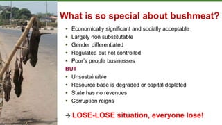  Economically significant and socially acceptable
 Largely non substitutable
 Gender differentiated
 Regulated but not controlled
 Poor’s people businesses
BUT
 Unsustainable
 Resource base is degraded or capital depleted
 State has no revenues
 Corruption reigns
 LOSE-LOSE situation, everyone lose!
What is so special about bushmeat?
 