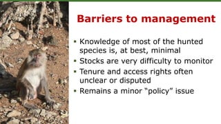 Barriers to management
 Knowledge of most of the hunted
species is, at best, minimal
 Stocks are very difficulty to monitor
 Tenure and access rights often
unclear or disputed
 Remains a minor “policy” issue
 