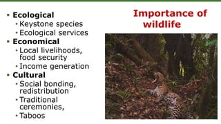 Importance of
wildlife
 Ecological
• Keystone species
• Ecological services
 Economical
• Local livelihoods,
food security
• Income generation
 Cultural
• Social bonding,
redistribution
• Traditional
ceremonies,
• Taboos
 