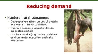 Reducing demand
 Hunters, rural consumers
– Develop alternative sources of protein
at a cost similar to bushmeat
– Improve economic opportunities in
productive sectors
– Use local media (e.g. radio) to deliver
environmental education and raise
awareness
 