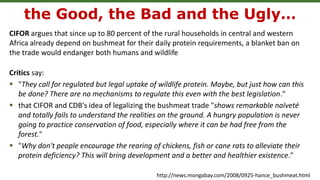 CIFOR argues that since up to 80 percent of the rural households in central and western
Africa already depend on bushmeat for their daily protein requirements, a blanket ban on
the trade would endanger both humans and wildlife
Critics say:
 "They call for regulated but legal uptake of wildlife protein. Maybe, but just how can this
be done? There are no mechanisms to regulate this even with the best legislation."
 that CIFOR and CDB's idea of legalizing the bushmeat trade "shows remarkable naïveté
and totally fails to understand the realities on the ground. A hungry population is never
going to practice conservation of food, especially where it can be had free from the
forest."
 "Why don't people encourage the rearing of chickens, fish or cane rats to alleviate their
protein deficiency? This will bring development and a better and healthier existence."
the Good, the Bad and the Ugly…
http://news.mongabay.com/2008/0925-hance_bushmeat.html
 