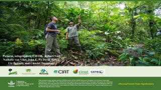Pictures, infographics: CIFOR, Robert Nasi,
Nathalie van Vliet, John E. Fa David Wilkie,
Liz Bennett, and Charles Doumenge
 