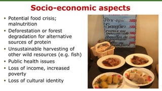  Potential food crisis;
malnutrition
 Deforestation or forest
degradation for alternative
sources of protein
 Unsustainable harvesting of
other wild resources (e.g. fish)
 Public health issues
 Loss of income, increased
poverty
 Loss of cultural identity
Socio-economic aspects
 