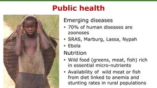 Public health
Emerging diseases
 70% of human diseases are
zoonoses
 SRAS, Marburg, Lassa, Nypah
 Ebola
Nutrition
 Wild food (greens, meat, fish) rich
in essential micro-nutrients
 Availability of wild meat or fish
from diet linked to anemia and
stunting rates in rural populations
 