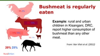 5% 6%
2% 10%
11% 15%
5% 11%
20%/25%
From: Van Vliet et al. (2012)
Bushmeat is regularly
eaten
Example: rural and urban
chi...