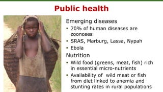 Public health
Emerging diseases
 70% of human diseases are
zoonoses
 SRAS, Marburg, Lassa, Nypah
 Ebola
Nutrition
 Wil...