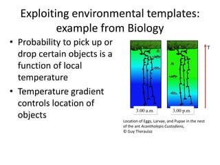 Exploiting environmental templates: example from BiologyProbability to pick up or drop certain objects is a function of local temperatureTemperature gradient controls location of objectsT3.00 a.m.3.00 p.m.Location of Eggs, Larvae, and Pupae in the nest of the ant Acantholepis Custodiens,© Guy Theraulaz