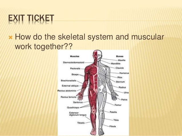 Monday december 15, 2014