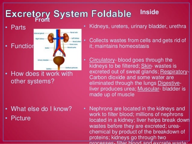 Monday january 12, 2015