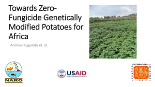 Towards Zero-
Fungicide Genetically
Modified Potatoes for
Africa
Andrew Kiggundu et. al.
 