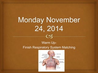 Warm Up- 
Finish Respiratory System Matching 
 