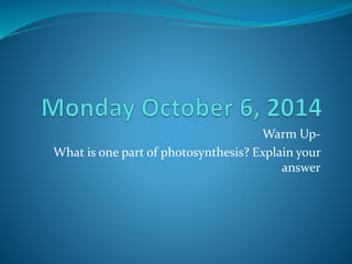 Warm Up- 
What is one part of photosynthesis? Explain your 
answer 
 