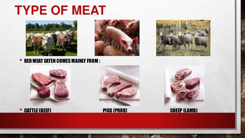 Meat Structure, Composition and Characteristics.