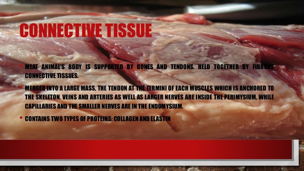 Meat Structure, Composition and Characteristics.