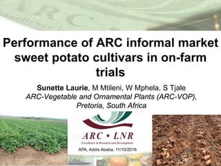 Performance of ARC informal market
sweet potato cultivars in on-farm
trials
APA, Addis Ababa, 11/10/2016
Sunette Laurie, M Mtileni, W Mphela, S Tjale
ARC-Vegetable and Ornamental Plants (ARC-VOP),
Pretoria, South Africa
 