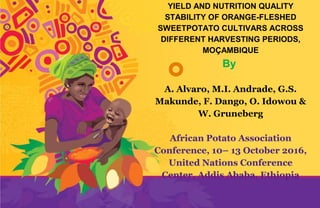 The Sweetpotato Action for Security and
Health in Africa (SASHA) is a five-year
initiative designed to improve the food security
and livelihoods of poor families in Sub-
Saharan Africa by exploiting the untapped
potential of sweetpotato. It will develop the
essential capacities, products, and methods to
reposition sweetpotato in food economies of
Sub-Saharan African countries to alleviate
poverty and under-nutrition.
YIELD AND NUTRITION QUALITY
STABILITY OF ORANGE-FLESHED
SWEETPOTATO CULTIVARS ACROSS
DIFFERENT HARVESTING PERIODS,
MOÇAMBIQUE
By
A. Alvaro, M.I. Andrade, G.S.
Makunde, F. Dango, O. Idowou &
W. Gruneberg
African Potato Association
Conference, 10– 13 October 2016,
United Nations Conference
Center, Addis Ababa, Ethiopia
 