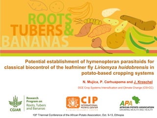 Potential establishment of hymenopteran parasitoids for
classical biocontrol of the leafminer fly Liriomyza huidobrensis in
potato-based cropping systems
N. Mujica, P. Carhuapoma and J. Kroschel
DCE Crop Systems Intensification and Climate Change (CSI-CC)
10th Triennial Conference of the African Potato Association, Oct. 9-13, Ethiopia
 