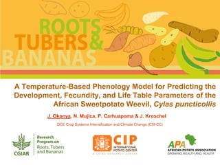 A Temperature-Based Phenology Model for Predicting the
Development, Fecundity, and Life Table Parameters of the
African Sweetpotato Weevil, Cylas puncticollis
J. Okonya, N. Mujica, P. Carhuapoma & J. Kroschel
DCE Crop Systems Intensification and Climate Change (CSI-CC)
 