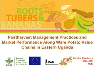 Postharvest Management Practices and
Market Performance Along Ware Potato Value
Chains in Eastern Uganda
Caroline Nabukeera
MSc. AAE
MUK
 