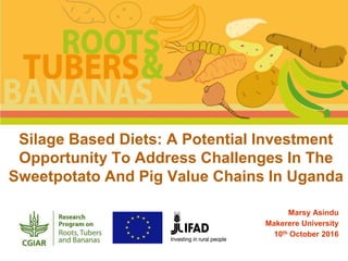Silage Based Diets: A Potential Investment
Opportunity To Address Challenges In The
Sweetpotato And Pig Value Chains In Uganda
Marsy Asindu
Makerere University
10th October 2016
 