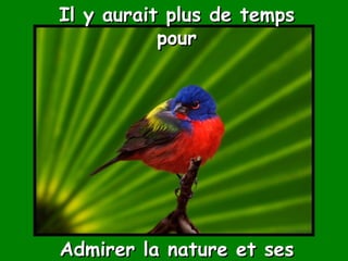 Il y aurait plus de temps pour Admirer la nature et ses beautés. 