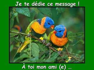 Je te dédie ce message ! À toi mon ami (e) … 