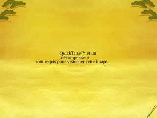 QuickTime™ et un
décompresseur
sont requis pour visionner cette image.
 