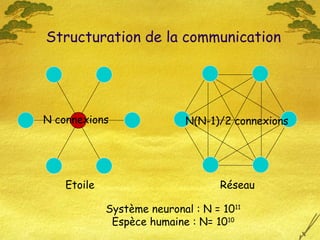 Etoile Réseau
N connexions
Système neuronal : N = 1011
Espèce humaine : N= 1010
Structuration de la communication
N(N-1)/2 connexions
 