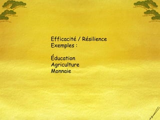 Efficacité / Résilience
Exemples :
Éducation
Agriculture
Monnaie
 