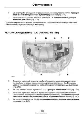 Обслуживание 
Бачок для рабочей жидкости гидроусилителя рулевого управления См. Проверка 
рабочей жидкости усилителя рулевого управления (стр. 240). 
I 
Бачок для охлаждающей жидкости двигателя См. Проверка охлаждающей 
жидкости двигателя (стр. 239). 
J 
1Для идентификационных целей крышки бачков и маслоизмерительный щуп двигателя 
имеют соответствующую цветовую маркировку. 
МОТОРНОЕ ОТДЕЛЕНИЕ - 2.0L DURATEC-HE (MI4) 
B D E 
A C 
J I H 
G F 
E73231 
Бачок для тормозной жидкости и рабочей жидкости гидропривода сцепления 
(автомобили с правым расположением органов управления). См. Проверка 
уровня тормозной жидкости и рабочей жидкости гидропривода сцепления 
(стр. 240). 
A 
B Крышка маслозаливной горловины1. См. Проверка моторного масла (стр. 238). 
Бачок для тормозной жидкости и рабочей жидкости гидропривода сцепления 
(автомобили с левым расположением органов управления). См. Проверка уровня 
тормозной жидкости и рабочей жидкости гидропривода сцепления (стр. 240). 
C 
Аккумуляторная батарея. См. Использование соединительных электрических 
проводов (стр. 246). 
D 
229 
http://ava-avto.ru 
 