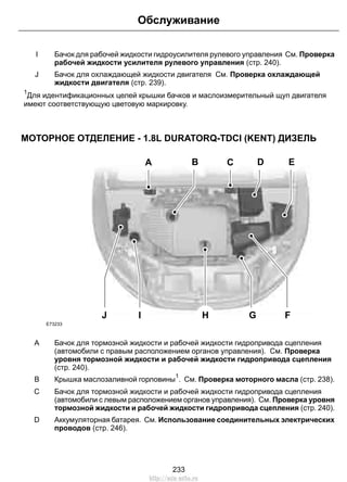 Обслуживание 
Бачок для рабочей жидкости гидроусилителя рулевого управления См. Проверка 
рабочей жидкости усилителя рулевого управления (стр. 240). 
I 
Бачок для охлаждающей жидкости двигателя См. Проверка охлаждающей 
жидкости двигателя (стр. 239). 
J 
1Для идентификационных целей крышки бачков и маслоизмерительный щуп двигателя 
имеют соответствующую цветовую маркировку. 
МОТОРНОЕ ОТДЕЛЕНИЕ - 1.8L DURATORQ-TDCI (KENT) ДИЗЕЛЬ 
B D E 
A C 
J I H 
G F 
E73233 
Бачок для тормозной жидкости и рабочей жидкости гидропривода сцепления 
(автомобили с правым расположением органов управления). См. Проверка 
уровня тормозной жидкости и рабочей жидкости гидропривода сцепления 
(стр. 240). 
A 
B Крышка маслозаливной горловины1. См. Проверка моторного масла (стр. 238). 
Бачок для тормозной жидкости и рабочей жидкости гидропривода сцепления 
(автомобили с левым расположением органов управления). См. Проверка уровня 
тормозной жидкости и рабочей жидкости гидропривода сцепления (стр. 240). 
C 
Аккумуляторная батарея. См. Использование соединительных электрических 
проводов (стр. 246). 
D 
233 
http://ava-avto.ru 
 