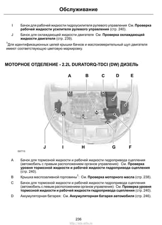 Обслуживание 
Бачок для рабочей жидкости гидроусилителя рулевого управления См. Проверка 
рабочей жидкости усилителя рулевого управления (стр. 240). 
I 
Бачок для охлаждающей жидкости двигателя См. Проверка охлаждающей 
жидкости двигателя (стр. 239). 
J 
1Для идентификационных целей крышки бачков и маслоизмерительный щуп двигателя 
имеют соответствующую цветовую маркировку. 
МОТОРНОЕ ОТДЕЛЕНИЕ - 2.2L DURATORQ-TDCI (DW) ДИЗЕЛЬ 
B D E 
A C 
J I H 
G F 
E87715 
Бачок для тормозной жидкости и рабочей жидкости гидропривода сцепления 
(автомобиль с правым расположением органов управления): См. Проверка 
уровня тормозной жидкости и рабочей жидкости гидропривода сцепления 
(стр. 240). 
A 
B Крышка маслозаливной горловины1: См. Проверка моторного масла (стр. 238). 
Бачок для тормозной жидкости и рабочей жидкости гидропривода сцепления 
(автомобиль с левым расположением органов управления): См. Проверка уровня 
тормозной жидкости и рабочей жидкости гидропривода сцепления (стр. 240). 
C 
D Аккумуляторная батарея: См. Аккумуляторная батарея автомобиля (стр. 246). 
236 
http://ava-avto.ru 
 