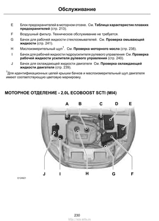 Блок предохранителей в моторном отсеке. См. Таблица характеристик плавких
предохранителей (стр. 213).
E
Воздушный фильтр. Техническое обслуживание не требуется.F
Бачок для рабочей жидкости стеклоомывателей. См. Проверка омывающей
жидкости (стр. 241).
G
Маслоизмерительный щуп
1
. См. Проверка моторного масла (стр. 238).H
Бачок для рабочей жидкости гидроусилителя рулевого управления См. Проверка
рабочей жидкости усилителя рулевого управления (стр. 240).
I
Бачок для охлаждающей жидкости двигателя См. Проверка охлаждающей
жидкости двигателя (стр. 239).
J
1
Для идентификационных целей крышки бачков и маслоизмерительный щуп двигателя
имеют соответствующую цветовую маркировку.
МОТОРНОЕ ОТДЕЛЕНИЕ - 2.0L ECOBOOST SCTI (MI4)
A C
GHJ I F
D EB
E124921
230
Обслуживание
http://ava-avto.ru
 