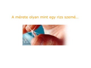 A mérete olyan mint egy rizs szemé… 