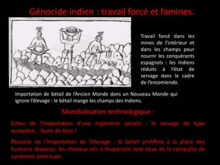 Génocide indien : travail forcé et famines.
Travail forcé dans les
mines de l’intérieur et
dans les champs pour
nourrir les conquérants
espagnols : les Indiens
réduits à l’état de
servage dans le cadre
de l’encomienda.
Importation de bétail de l’Ancien Monde dans un Nouveau Monde qui
ignore l’élevage : le bétail mange les champs des Indiens.
Mondialisation technologique :
Echec de l’importation d’une ingéniérie sociale : le servage de type
européen… faute de bras !
Réussite de l’importation de l’élevage : le bétail prolifère à la place des
humains disparus, les chevaux nés à Hispaniola sont ceux de la conquête du
continent américain.
 