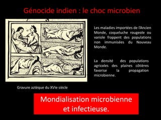 Génocide indien : le choc microbien
Les maladies importées de l’Ancien
Monde, coqueluche rougeole ou
variole frappent des populations
non immunisées du Nouveau
Monde.
La densité des populations
agricoles des plaines côtières
favorise la propagation
microbienne.
Mondialisation microbienne
et infectieuse.
Gravure aztèque du XVIe siècle
 