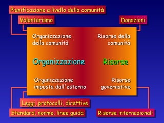 Organizzazione Risorse Organizzazione della comunità Organizzazione imposta dall'esterno Volontarismo Pianificazione a livello della comunità Leggi, protocolli, direttive Standard, norme, linee guida Risorse della comunità Risorse governative Donazioni Risorse internazionali 