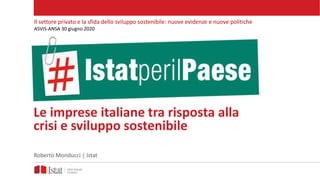 Le imprese italiane tra risposta alla
crisi e sviluppo sostenibile
Roberto Monducci | Istat
Il settore privato e la sfida dello sviluppo sostenibile: nuove evidenze e nuove politiche
ASVIS-ANSA 30 giugno 2020
 