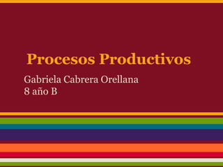 Procesos Productivos
Gabriela Cabrera Orellana
8 año B
 