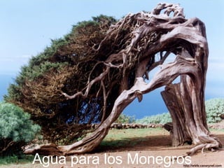 Agua para los Monegros 