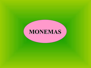 MONEMAS MONEMAS 