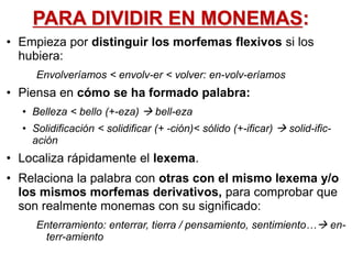 PARA DIVIDIR EN MONEMAS:
• Empieza por distinguir los morfemas flexivos si los
hubiera:
Envolveríamos < envolv-er < volver: en-volv-eríamos
• Piensa en cómo se ha formado palabra:
• Belleza < bello (+-eza)  bell-eza
• Solidificación < solidificar (+ -ción)< sólido (+-ificar)  solid-ific-
ación
• Localiza rápidamente el lexema.
• Relaciona la palabra con otras con el mismo lexema y/o
los mismos morfemas derivativos, para comprobar que
son realmente monemas con su significado:
Enterramiento: enterrar, tierra / pensamiento, sentimiento… en-
terr-amiento
 