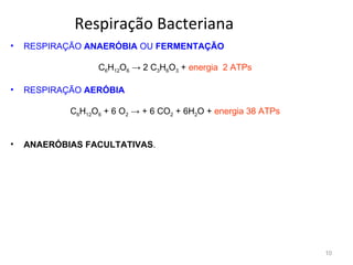 Respiração Bacteriana
•   RESPIRAÇÃO ANAERÓBIA OU FERMENTAÇÃO

                  C6H12O6 → 2 C3H6O3 + energia 2 ATPs

•   RESPIRAÇÃO AERÓBIA

            C6H12O6 + 6 O2 → + 6 CO2 + 6H2O + energia 38 ATPs


•   ANAERÓBIAS FACULTATIVAS.




                                                                10
 