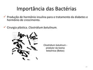 Importância das Bactérias
 Produção de hormônio insulina para o tratamento da diabetes e
  hormônio de crescimento.

 Cirurgia plástica. Clostridium botulinum.




                               Clostridium botulinum -
                                 produtor da toxina
                                 botulínica (Botox)




                                                             21
 
