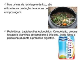  Nas usinas de reciclagem de lixo, são
utilizadas na produção de adubos de
compostagem.




 Probióticos. Lactobacillus Acidophilus. Competição, produz
  lactase e vitaminas do complexo B (niacina, ácido fólico e
  piridoxina) durante o processo digestivo.




                                                         23
 