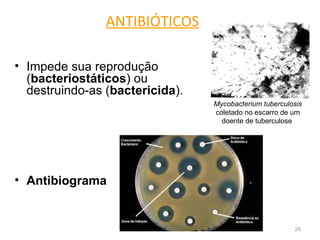 ANTIBIÓTICOS

• Impede sua reprodução
  (bacteriostáticos) ou
  destruindo-as (bactericida).
                                 Mycobacterium tuberculosis
                                 coletado no escarro de um
                                   doente de tuberculose




• Antibiograma


                                                        25
 