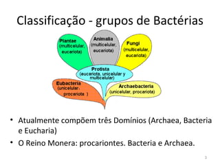 Classificação - grupos de Bactérias




• Atualmente compõem três Domínios (Archaea, Bacteria
  e Eucharia)
• O Reino Monera: procariontes. Bacteria e Archaea.
                                                   3
 